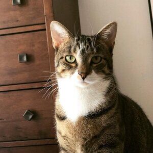 Meet your Posher, Kiki